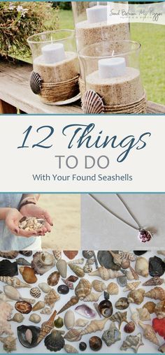 the cover of 12 things to do with your found seashells, including shells