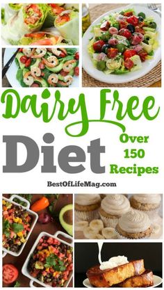 Take control of your dairy free diet with the ultimate list of recipes for every meal of the day! Vegetarian Meals For Kids, Nutribullet Recipes, Overnight Oat, Meal Of The Day