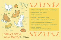 an image of dogs playing in the yard with their food and training instructions on how to train them