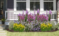 Multicolored native plant garden in front of gray house Front Yard Tree Landscaping, Drainage Solutions Landscaping, Native Plant Garden, Front Door Plants, Landscape Ideas Front Yard Curb Appeal, Native Plant Landscape, Flower Fence