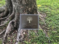 a plaque on the ground next to a tree with its roots growing out of it