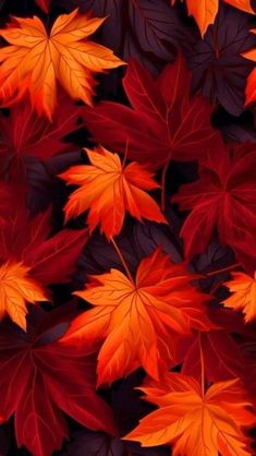 an image of autumn leaves that are red, orange and yellow in the dark background