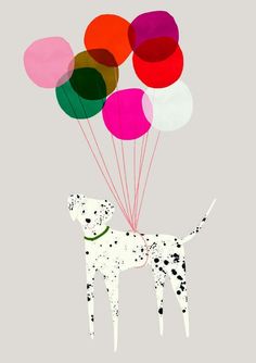 a dalmatian dog holding several balloons in its mouth