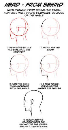 how to draw the head from behind with this step - by - step drawing guide