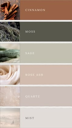 A color palette featuring soft earth tones: brown, moss green, sage green, muted rose, blush, and grey. These harmonious and natural hues create a soothing and elegant combination, perfect for branding, design projects, or weddings. Muted Earth Tones Colour Palettes, Water Tones Colour Palettes, Soft Grey Colour Palette, Earthly Colour Palette, Moss Green Bedroom Colour Palettes, Earth Colour Palette Nature, Oak Colour Palette, Apartment Colour Palettes, Nature Tones Colour Palettes