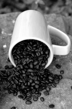 coffee beans spilling out of a white cup