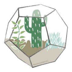 a drawing of a cactus in a glass box