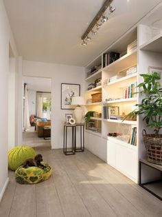 a dog laying on the floor in front of a bookshelf