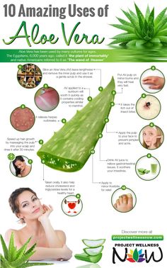 Uses Of Aloe Vera, Benefits Of Aloe Vera, Aloe Vera For Skin, Aloe Vera Skin Care, Valerian, Healing Herbs