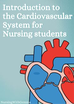 Introduction to the Cardiovascular System for Nursing Students - etsy study guide Coronary Arteries Anatomy, Heart Blood Flow, Renin Angiotensin Aldosterone System, Coronary Angiography, Cardiac Catherization Nursing, Heart Arteries, Mean Arterial Pressure, Coronary Circulation, Coronary Arteries Disease Nursing