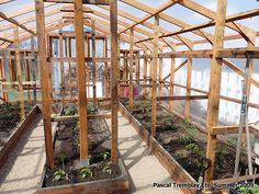 several wooden greenhouses filled with plants and dirt in the middle of an open area