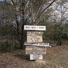 a wooden sign sitting in the middle of a forest