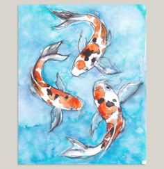 three orange and white koi fish swimming in blue water