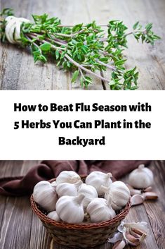 How to beat the flu season with 5 herbs you can plant in your backyard Home Remedies For Acne, Organic Lifestyle, Sustainable Food, Be Natural, Living A Healthy Life, Digestion Problems, Healthy Living Lifestyle, Healthy Kids, Food Store