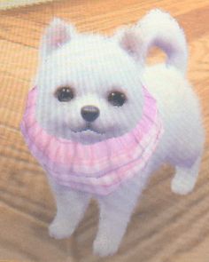 a small white dog wearing a pink scarf