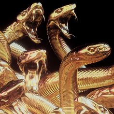 several gold snakes with their mouths open