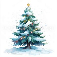 a watercolor christmas tree with lights and snow on the ground in front of a white background