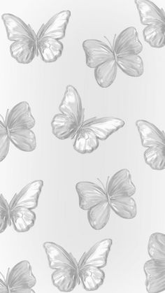 white butterflies are flying in the air with their wings spread out and there is no image on