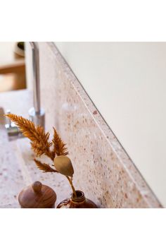 two vases with plants in them sitting on a counter top next to a faucet