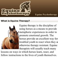 a horse with the caption equine therapy