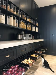 a black and white cat sitting on the floor in front of an open pantry filled with food