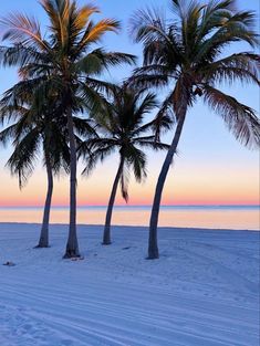 three palm trees on the beach at sunset