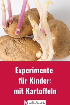 some kind of food with the words experiment fur kinder mit kartoffeln