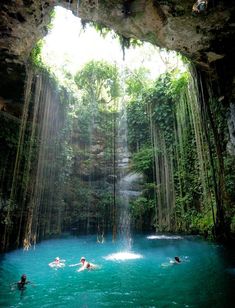 people are swimming in the blue hole