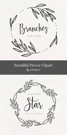 two logos for flowers and branches, one with the word star written in cursive writing