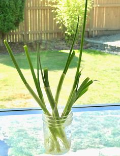 a glass vase filled with green onions on top of a window sill