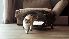 a cat is walking through a circular object on the floor in front of a couch