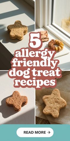 the words 5 allergy friendly dog treat recipes are in front of pictures of cookies and biscuits