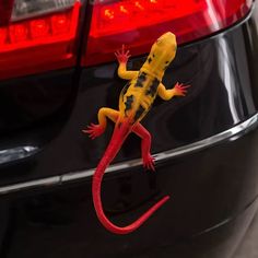 a yellow and black gecko is on the back of a car's tail