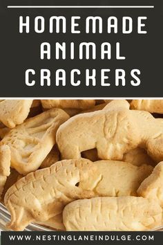 Graphic for Pinterest of How to make Homemade Animal Crackers Chocolate Animal Crackers, Homemade Animal Crackers, Animal Crackers Recipe, Animal Cookies Recipe, Pantry Snacks, Easy Homemade Snacks, Homemade Snacks Recipes, Oats Flour