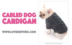 a small dog wearing a sweater with the words cabled dog cardigan