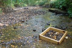 a box filled with rocks sitting on top of a river