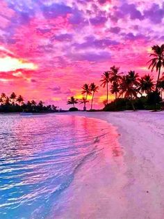 a beach with palm trees and water under a colorful sky at sunset in the tropical island