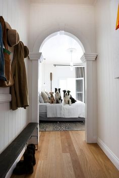 three dogs sitting on top of a bed in a room with white walls and wood floors