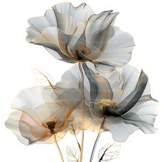 three white flowers with black stems on a white background in an artistic fashion, digital painting