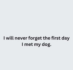 a quote that reads i will never forget the first day, i met my dog