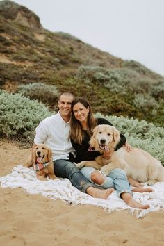 a man and woman sitting on top of a blanket with two dogs