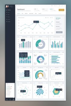 the dashboard screen is open and shows graphs, data, and other things to see