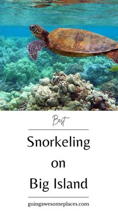 a turtle swimming in the ocean with text overlay reading best snorkeling on big island