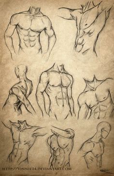 an image of a man's torso sketches