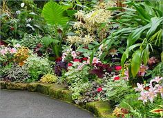 a garden with lots of plants and flowers on the side of the road in front of some trees