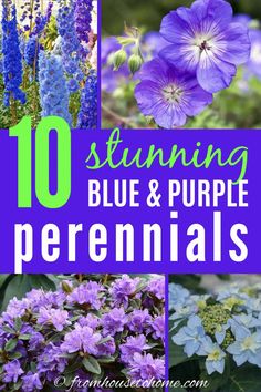 Purple and Blue Spring Perennials For Part Shade Backyard Diys, Spring Bulbs Garden, Shade Gardens