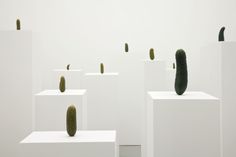 three white pedestals with green plants on them in a room filled with white walls