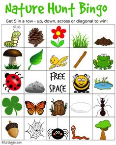 a printable game with pictures of insects and plants