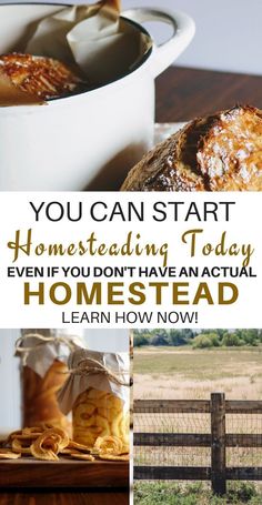 the words, you can start homestuding today even if you don't have an actual home - read learn how to