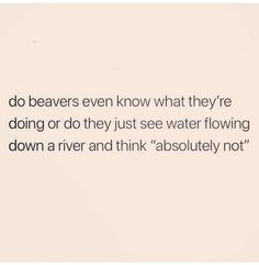 a white wall with the words do beavers even know what they're doing or do they just see water flowing down a river and think absolutely not